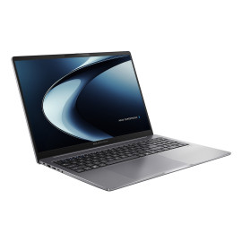 PC Ordinateur portable ASUS ExpertBook PM3606CHA-MB0228X (SANS CHARGEUR) 16" AMD Ryzen 7 16 Go Gris 512 Go