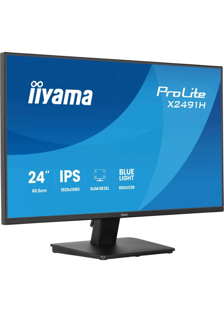 Écran 24" Iiyama ProLite X2491H-B1 Full HD 120Hz (Noir)