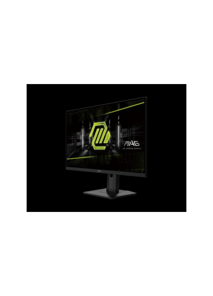 Écran MSI MAG 255XF (9S6-3BC21M-021)