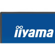 Écran IIYAMA X2492HSU-B1