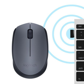 Souris Logitech M170 Grey-K souris Bureau Ambidextre RF sans fil Optique 1000 DPI (910-004642)